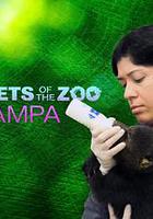 動物園秘辛：坦帕灣 第四季 / Secrets of the Zoo: Tampa Season 4 線上看
