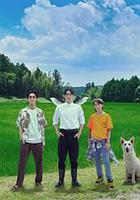 天狗的廚房 / 天狗の台所 線上看