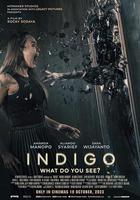 靛藍 / Indigo 線上看