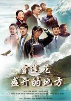 雪蓮花盛開的地方 線上看