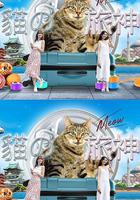 貓之旅神 線上看