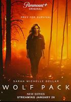 狼群 / Wolf Pack 線上看