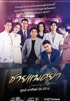 男妓 / ชายแพศยา 線上看