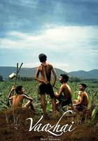 勞動的果實 線上看