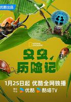 蟲蟲歷險記 / A Real Bug's Life 線上看