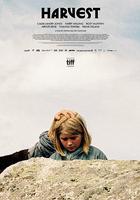 收成 / Harvest 線上看