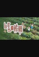 自訂台灣軼晴 線上看