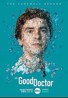 良醫 第七季 線上看