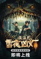 藏海花之雪夜凶燈 線上看