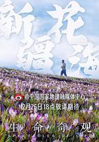 生命奇觀 線上看