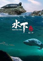 水下中國 第二季 線上看