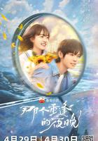 那個重逢的夜晚 線上看