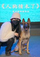 人狗情未了 線上看