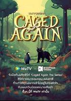 再次被關 / Caged Again 線上看