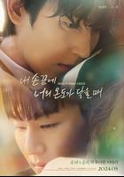 當我的指尖觸碰到你的溫度時 線上看