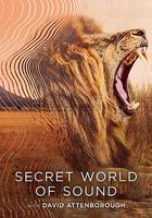 大衛·艾登堡：大自然的聲音 / Secret World of Sound with David Attenborough 線上看