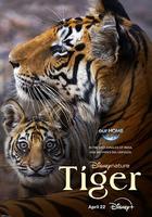 老虎 / Tiger 線上看