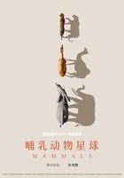 哺乳動物星球 / Mammals 線上看