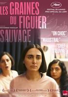 神聖無花果之種 線上看