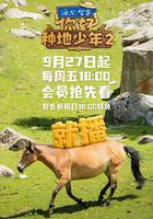 你好，種地少年2 線上看