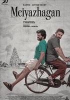 美麗的真相 / Meiyazhagan 線上看