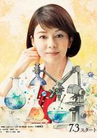 科搜研之女 第24季 / 科捜研の女 season24 線上看