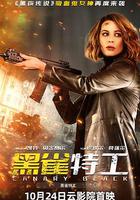 黑雀特工 線上看