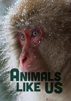 Animals Like Us Season 1 線上看