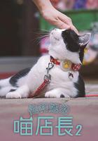 他和她的喵店長 2 線上看