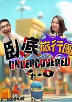 卧底旅行團4.0 線上看