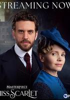 斯嘉麗小姐探案集 第六季 / Miss Scarlet Season 6 線上看