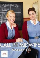 呼叫助產士 第十四季 線上看