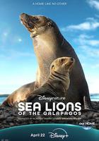 海獅利奧環島記 線上看