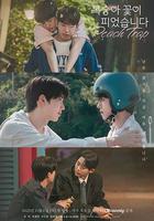 桃花開好了 線上看