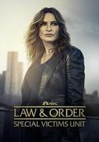 法律與秩序：特殊受害者 第二十七季 線上看