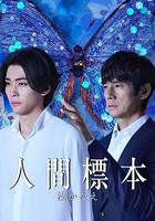 人類標本 / 人間標本 線上看