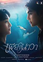 人魚戀人 / เพียงนาวา 線上看