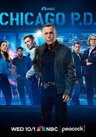 芝加哥警署 第十三季 線上看