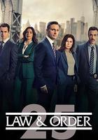 法律與秩序 第二十五季 線上看