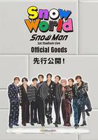 Snow Man 首次體育場演唱會：Snow World 線上看