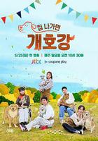 出門就是狗狗樂園 線上看