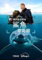 攝影師貝爾蒂與鯊魚零距離 / Sharks Up Close With Bertie Gregory 線上看