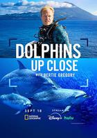 攝影師貝爾蒂與海豚零距離 / Dolphins Up Close with Bertie Gregory 線上看