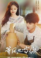 等風也等你 線上看