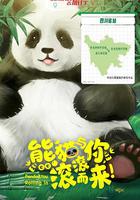 熊貓與你，滾滾而來！ 線上看