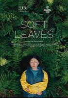 溫柔的葉子 線上看