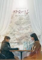 相遇之家 / 만남의 집 線上看