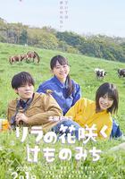 丁香花開的獸道 線上看