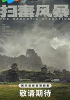 掃毒風暴 線上看