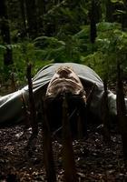 竹子復仇 線上看